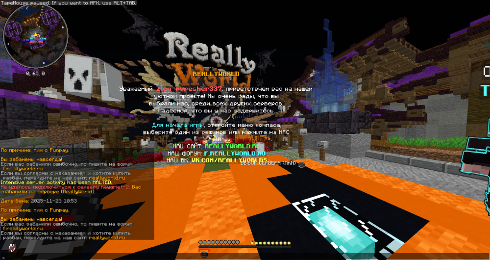image.thumb.png.bd5972205bc7cf23a057f26e133463df.png
