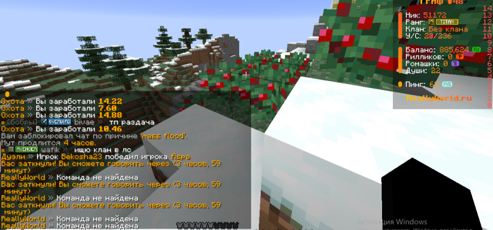 image.thumb.png.dedb1a6007acaff5423dd165d2edede3.png
