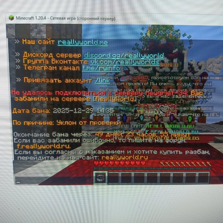 1767008926335963761590421482520.jpg