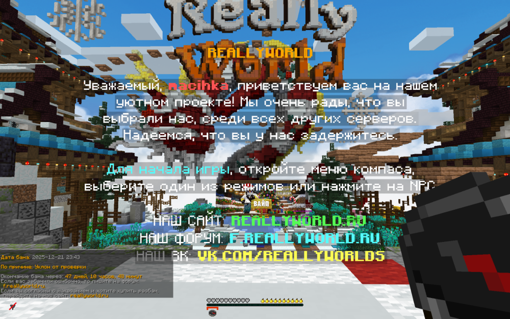 2025-12-24_11.54.06.png