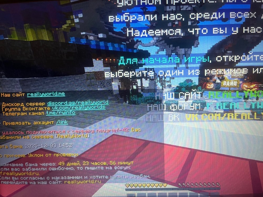 IMG_4829.thumb.jpeg.35b840ec2d86563bab1abfcf1e917658.jpeg
