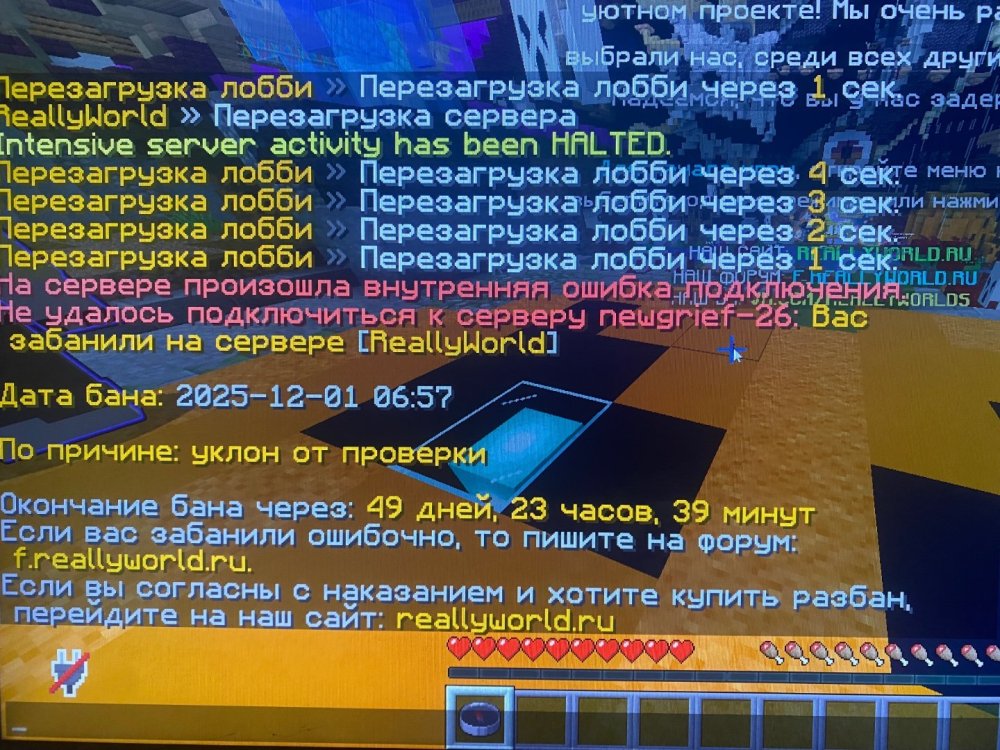 IMG_6669.jpeg