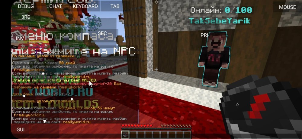 Screenshot_20251229_205125_PojavLauncher (Minecraft Java Edition for Android).jpg