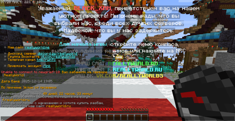 image.thumb.png.304a85120ff95d3718ade877bcf92b90.png