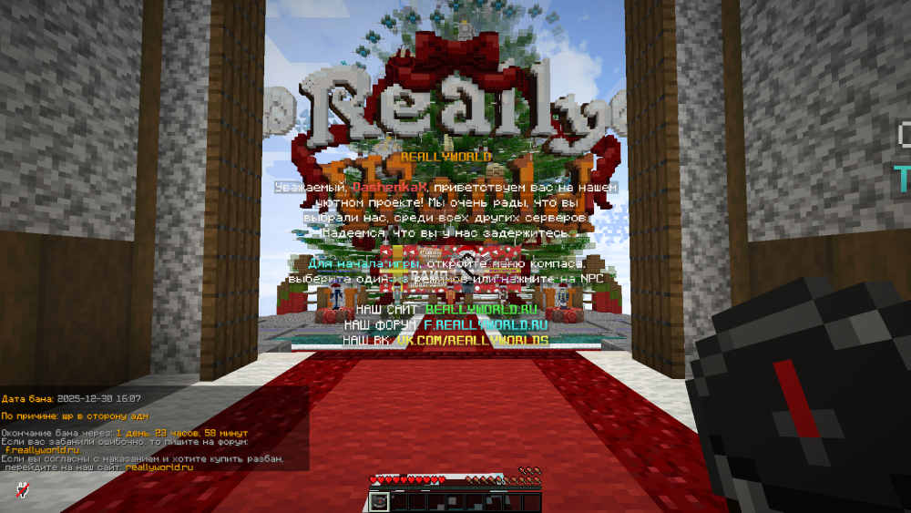image.thumb.png.3e70cdd5692c50a76ba88de701c43c38.png