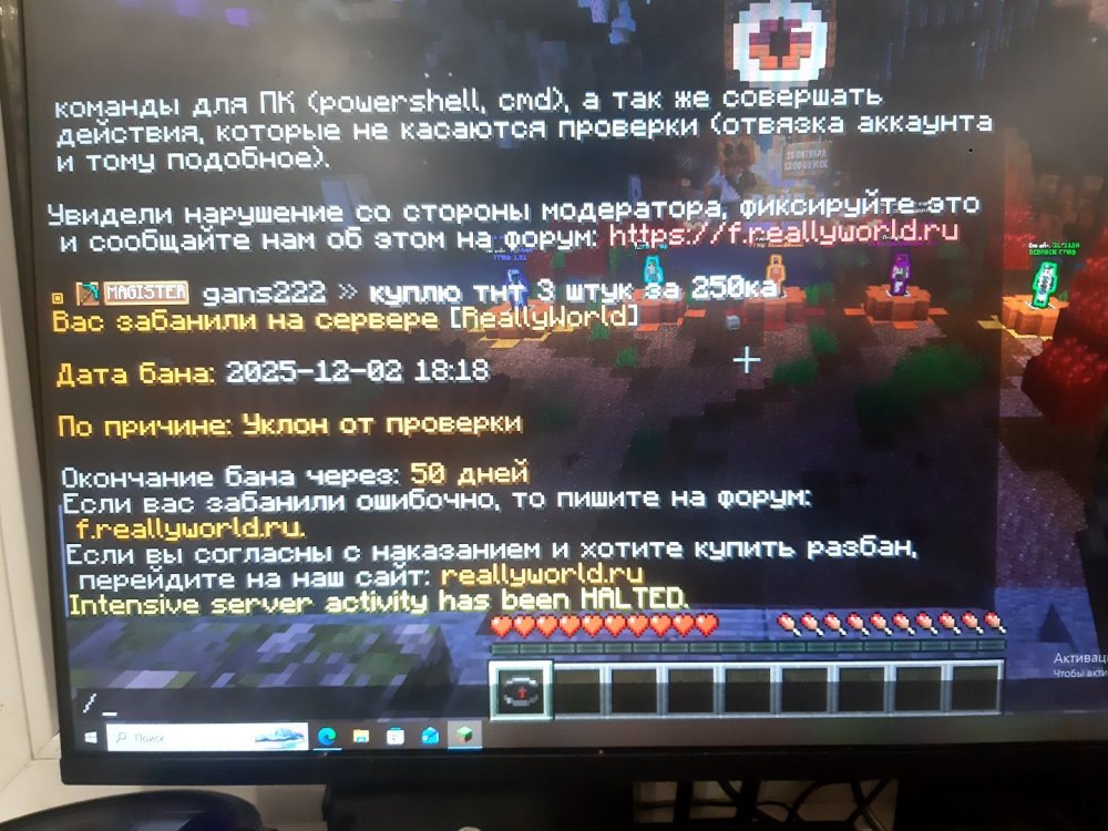 minecraft_183130.jpg