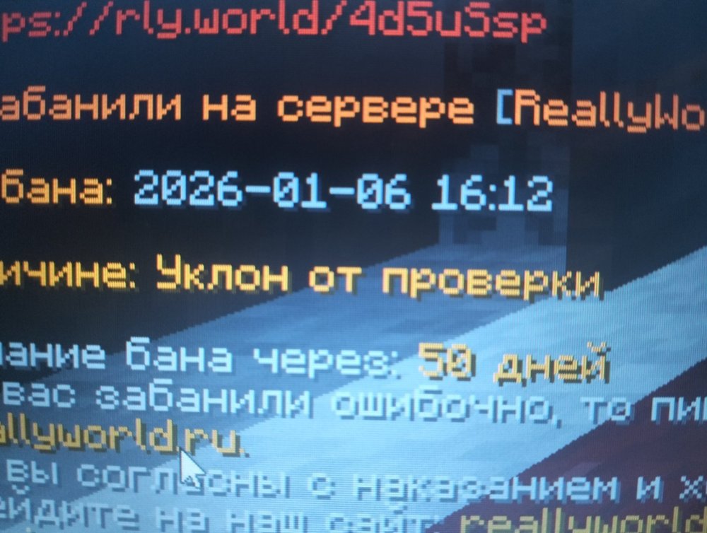 17677053073346235724798987342608.jpg