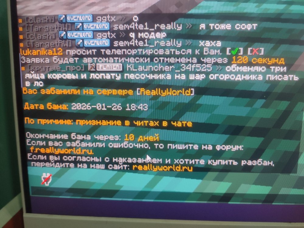 1769447621762477816201371130796.jpg