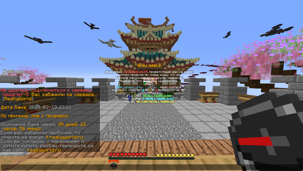2024-03-13_23_36_25.png.31df3adad82fcadd7835bff520eb24ee.png