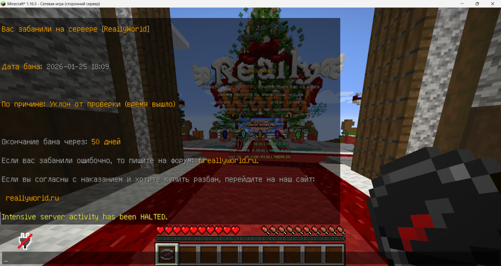 Снимок экрана 2026-01-25 201935.png