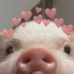 Mrsvin69