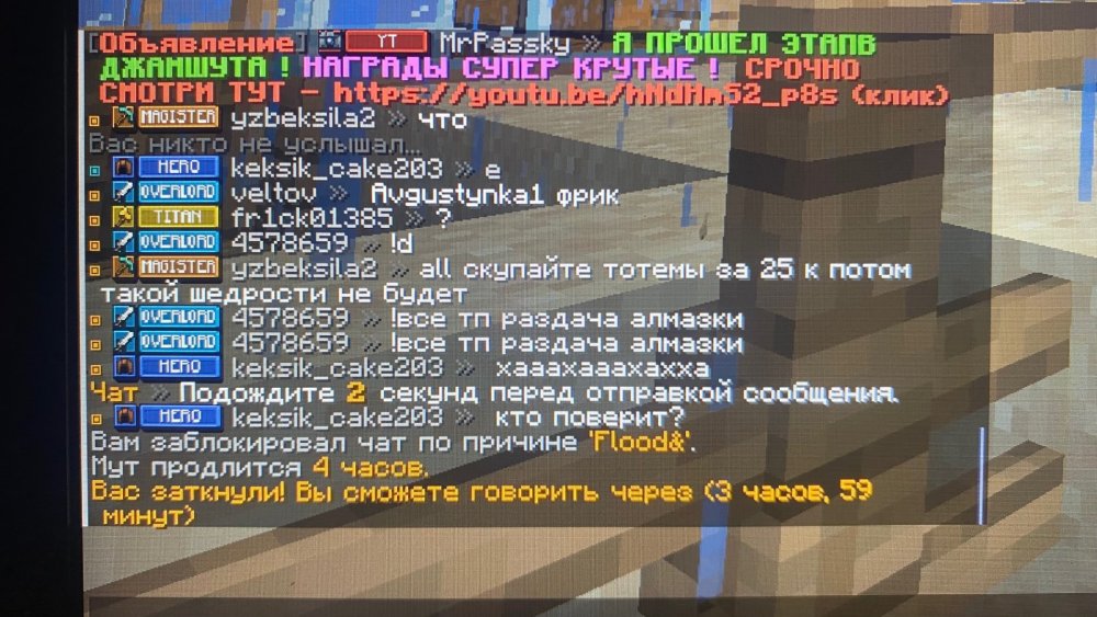 IMG_0706.jpeg
