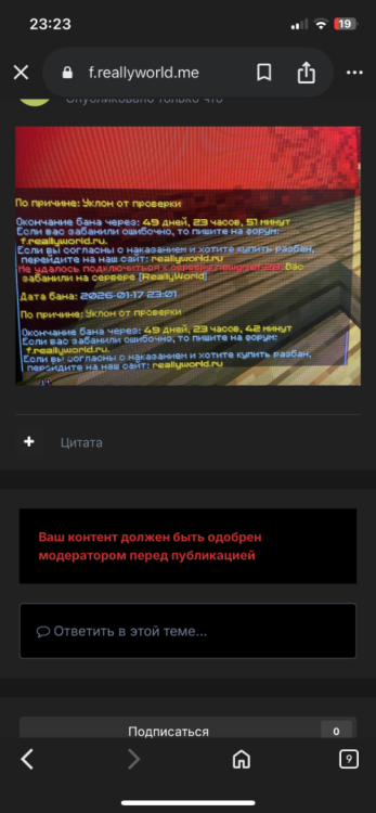 IMG_1184.png