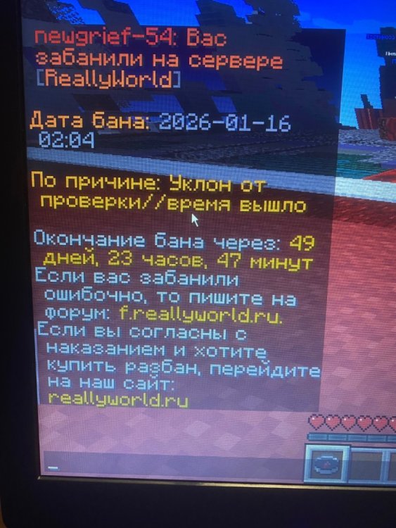 IMG_1217.jpeg