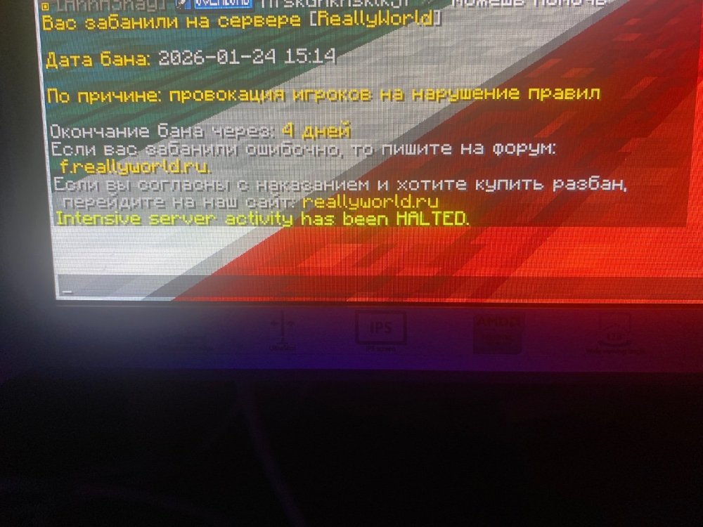 IMG_1882.jpeg