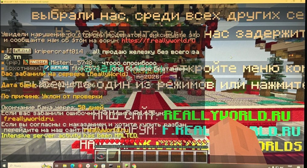 IMG_2559.jpeg