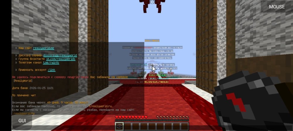 IMG_3525.thumb.jpeg.8a812545dd6210cbc1ee958f4633dcae.jpeg