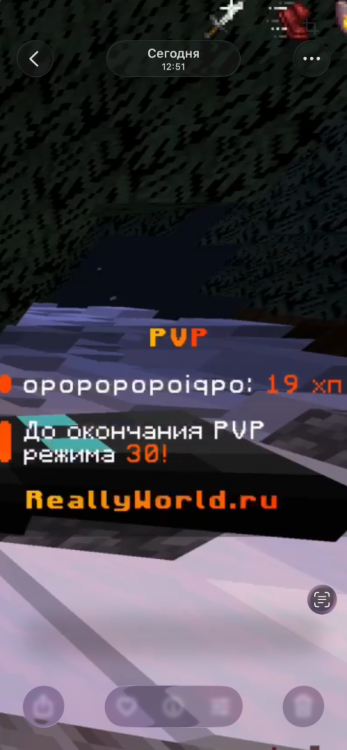 IMG_4012.png