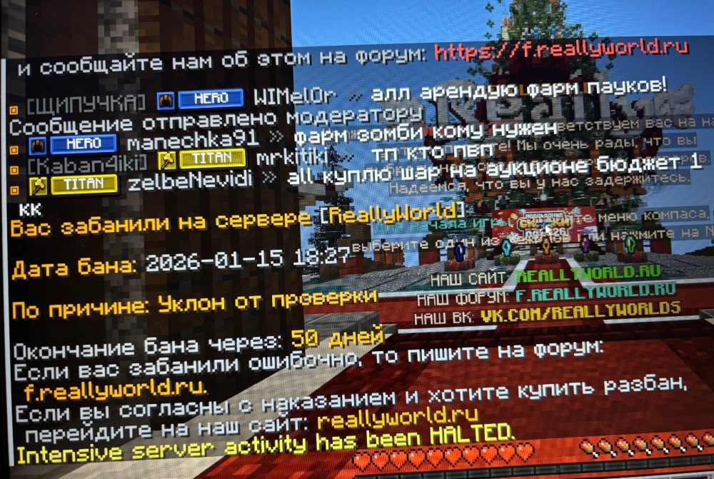 IMG_7872.jpeg
