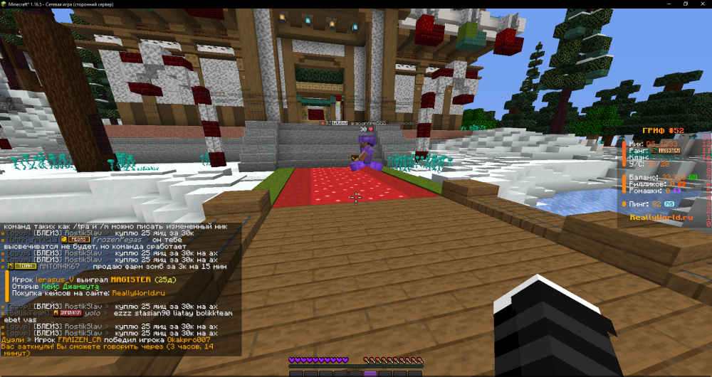 Minecraft_ 1.16.5 - Сетевая игра (сторонний сервер) 17.01.2026 21_41_07.png