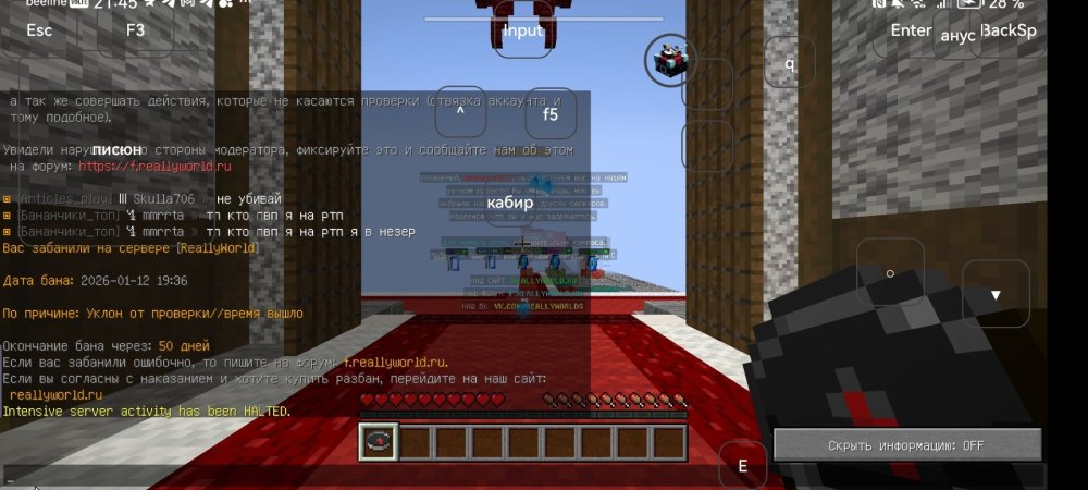 Screenshot_20260112_214514_com.tungsten.fcl.jpg