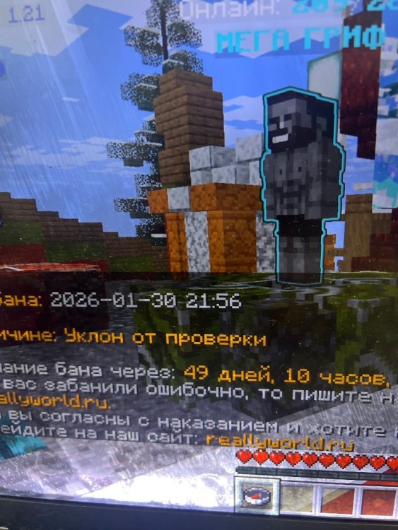 camphoto_758783491.thumb.jpeg.7745956754cc23535b1af4081a733daa.jpeg
