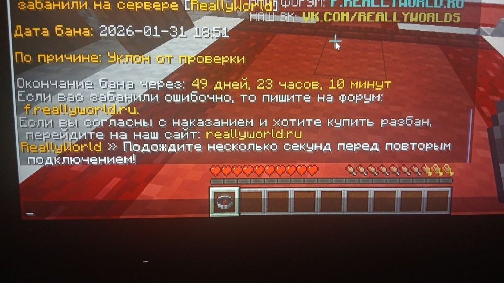 image.thumb.jpeg.74f3b5390e592bc74b47eeefca847079.jpeg