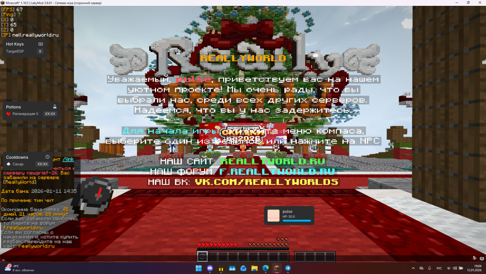 image.thumb.png.1537fa29042ab43df7b1973dfebda588.png