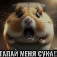 knatoxx