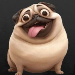 ZXCxrukidk
