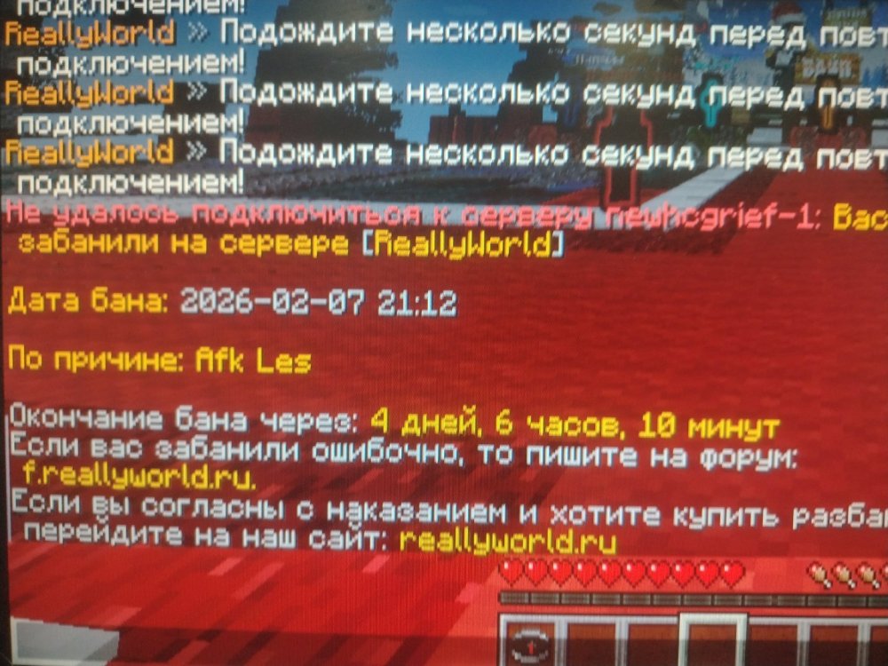 17705525100037583786861889789138.jpg