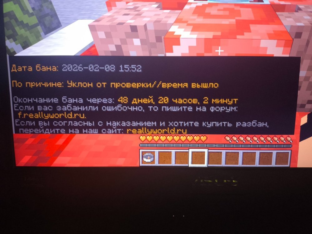 17706557393305725084700921946145.jpg