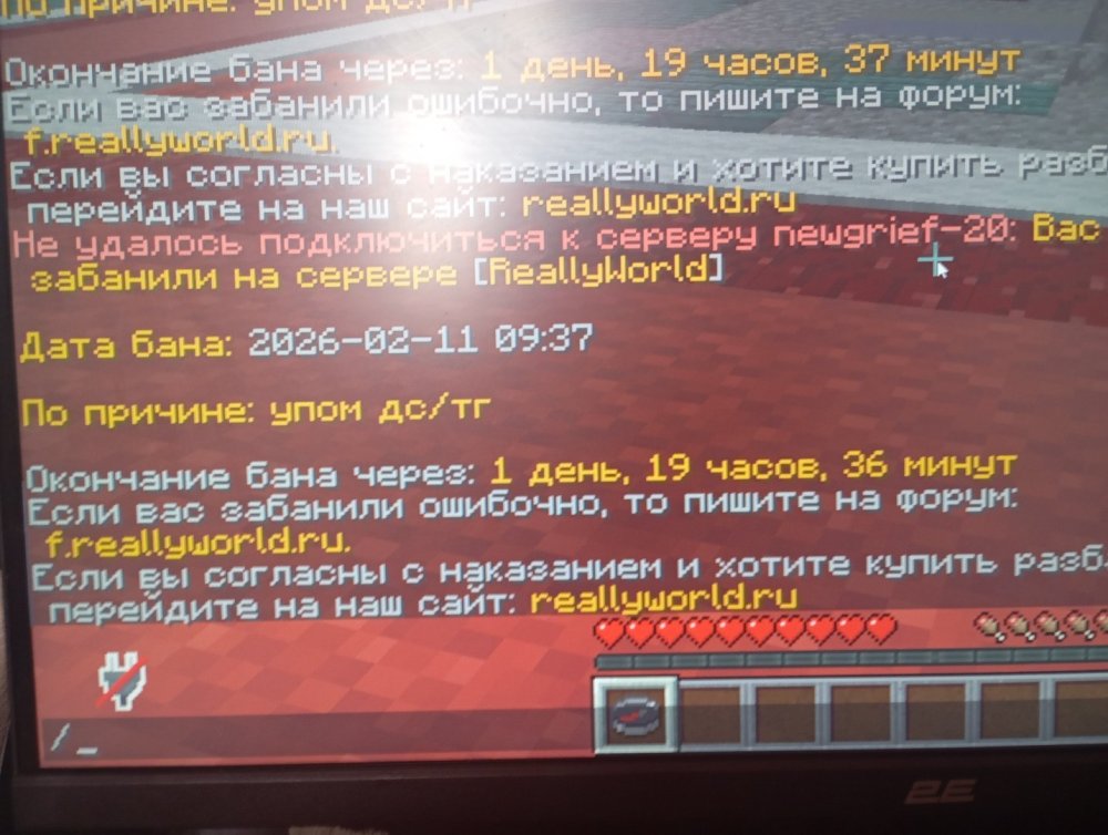 17708078523038125488720007588917.jpg