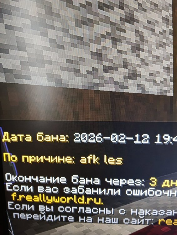 17710535508146720226763167185667.jpg