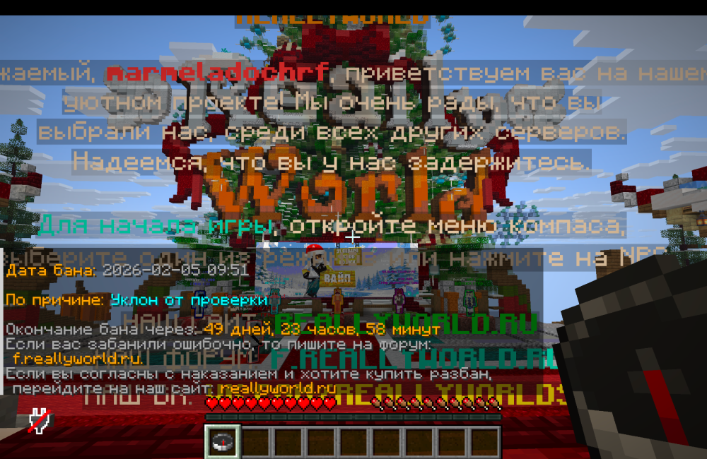 Снимок экрана 2026-02-05 в 09.52.55.png