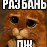maksswqsqw