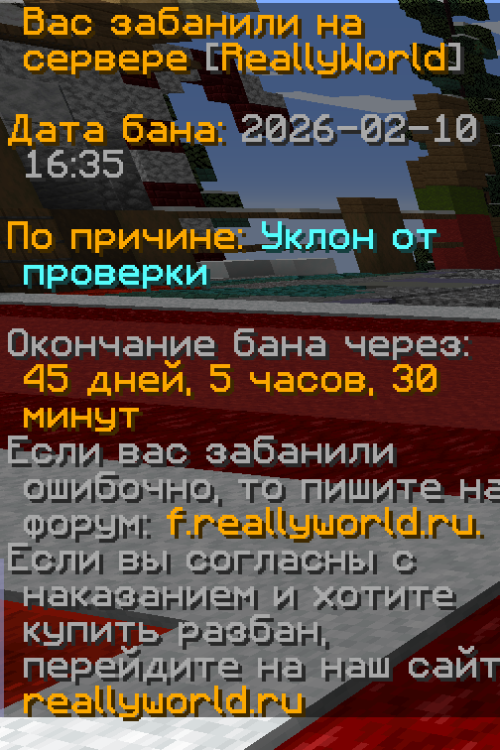 2026-02-15_11-04-43.png