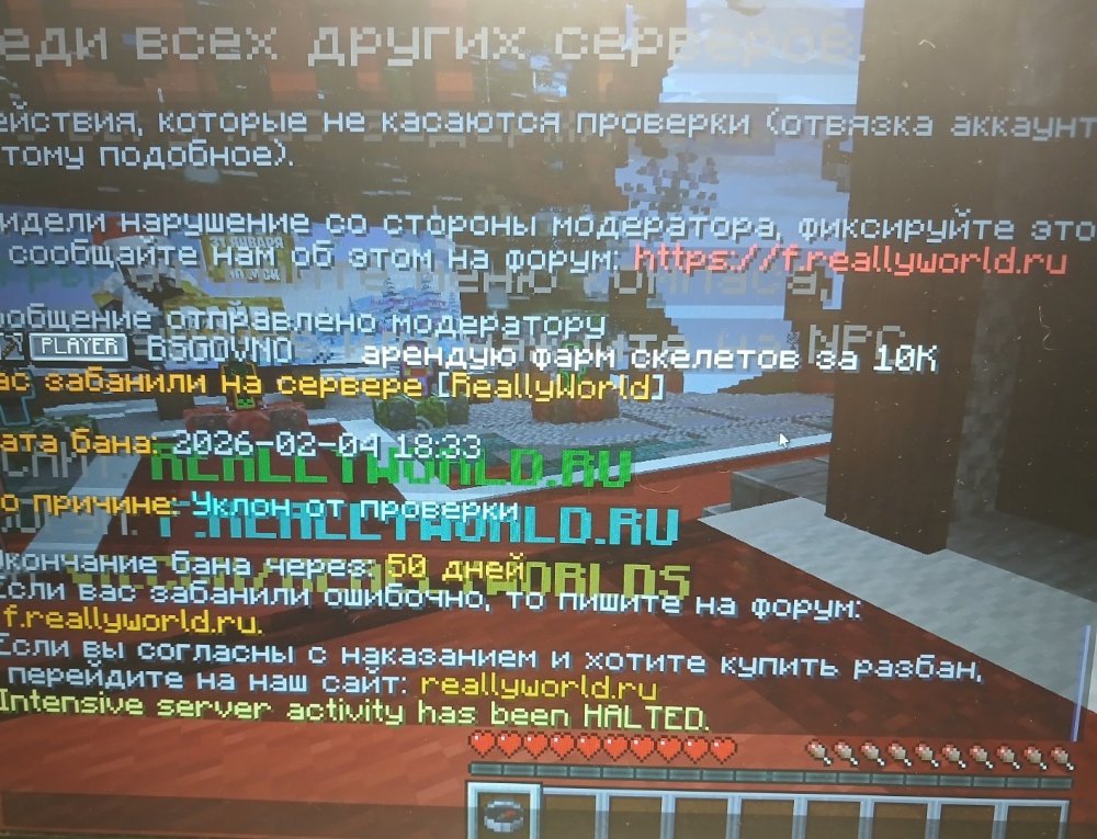 20260204_183335.jpg