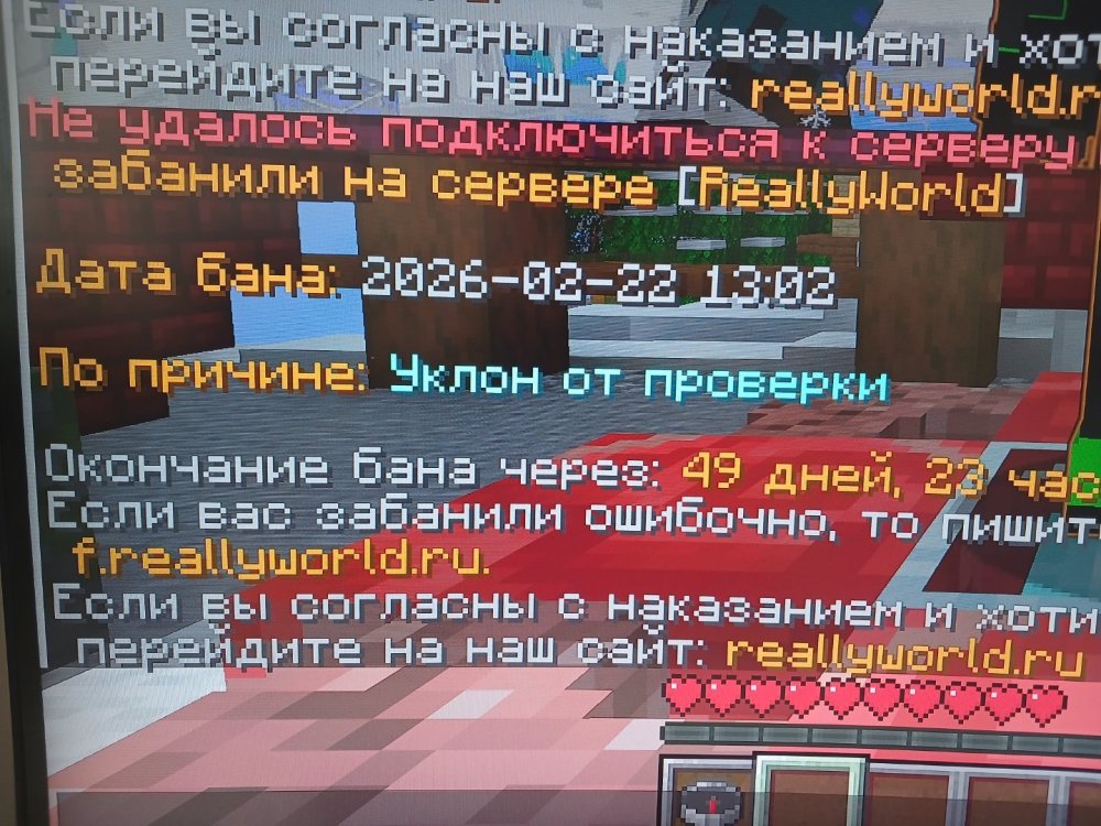 20260222_123319.jpg