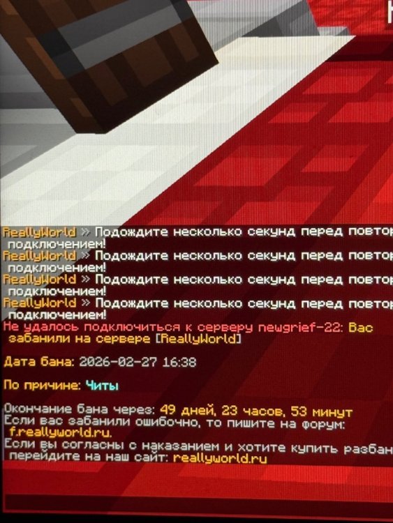 IMG_2008.thumb.jpeg.e8d4552d71f87bfff871cd2c831beec8.jpeg