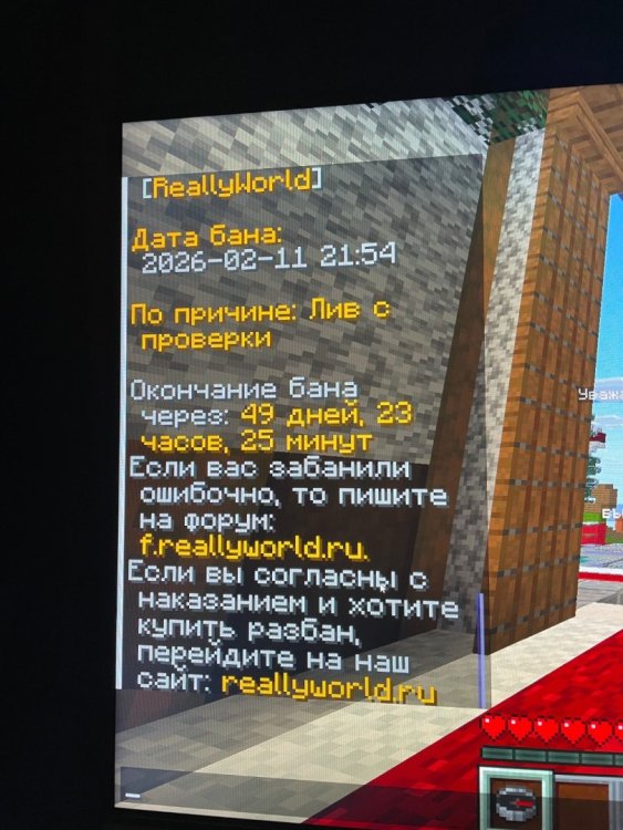 IMG_2239.thumb.jpeg.068ee34a058e6c617f306ffcb0771c88.jpeg