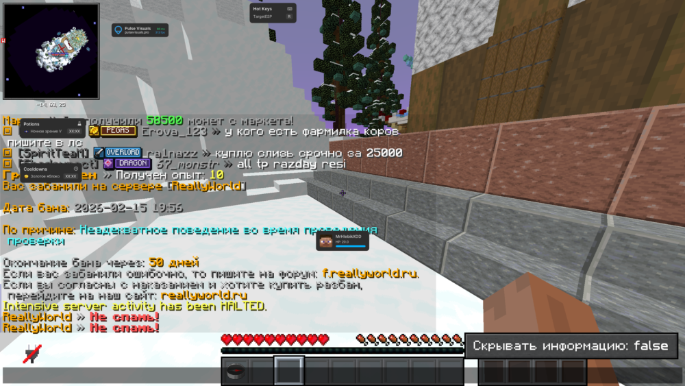 MinecraftScreenshot2026_02.15-21_59_52_47.thumb.png.0bbec9c8371d698aee0acdfe34a37ae0.png