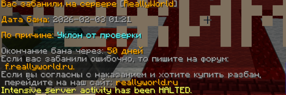 Screenshot 2026-02-03 032055.png