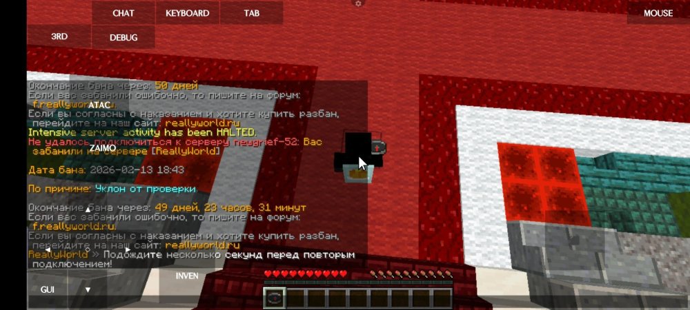 Screenshot_2026-02-13-19-11-58-220_net.kdt.pojavlaunch.jpg