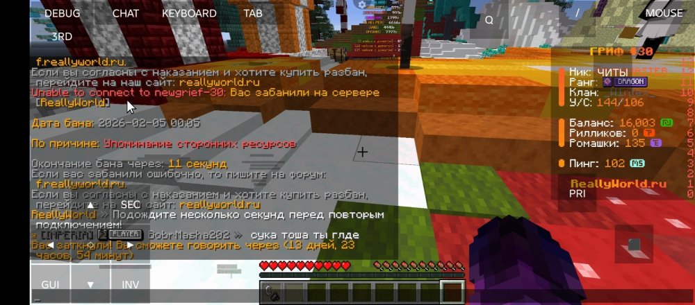 Screenshot_20260205-001941.jpg