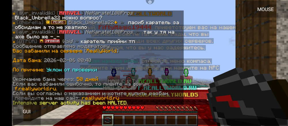 Screenshot_20260206-004951.png