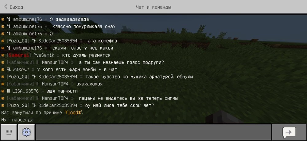 Screenshot_20260206_201905_Minecraft.jpg