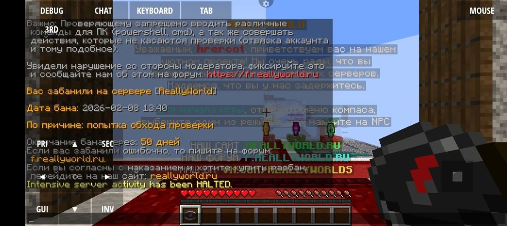 Screenshot_20260208-174302.jpg