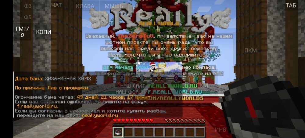 Screenshot_20260208_232511_git.artdeell.mojo.jpg
