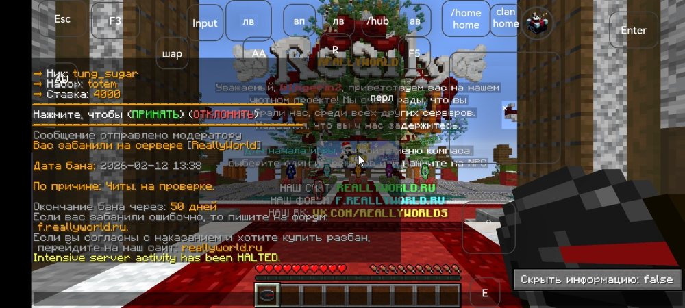 Screenshot_20260212_133834_com.tungsten.fcl.jpg